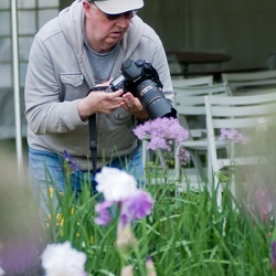 May-Schreiner's Iris Garden