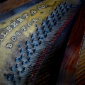 41RodSchmall FPCC PianoStrings O