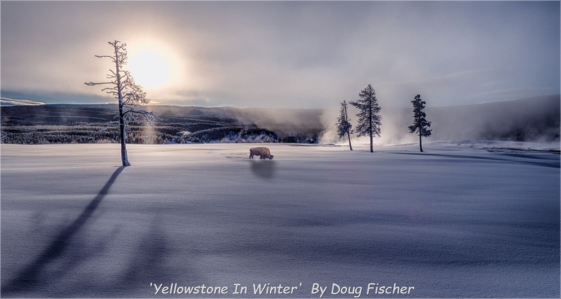 &#039;Yellowstone In Winter&#039;  By Doug Fischer